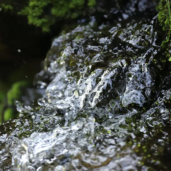 白山の百年伏流水