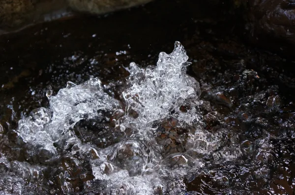 百年伏流水